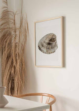 Quadro com concha marinha em primeiro plano, fundo branco, tons de bege, areia, cinzento claro e castanho-escuro, estilo minimalista e natural. Disponível em kudeko.com