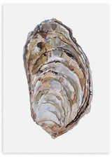 Cuadro de ostra marina en tonos beige, marrón, gris suave y blanco, con formas orgánicas sobre fondo claro y estilo ilustración. Disponible en kudeko.com