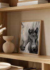 Wandbild mit einer weißen Stute und ihrem Fohlen im Vordergrund, in Weiß-, Grau- und Schwarztönen, mit natürlichem fotografischem Stil und ruhiger Wirkung. Erhältlich auf kudeko.com
