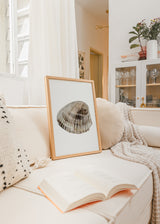 Wandbild mit Muschel im Vordergrund, weißem Hintergrund, Beige-, Sand-, hellgrauen und dunkelbraunen Tönen, in minimalistischem und natürlichem Stil. Erhältlich auf kudeko.com