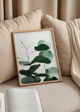 Quadro com ramos de eucalipto em tons verdes suaves sobre fundo claro, estilo decorativo natural e simples. Disponível em kudeko.com