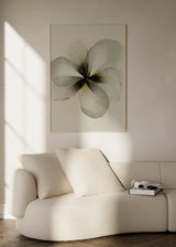 Cuadro decorativo de estilo minimalista y orgánico colocado en salón, flor suave en tonos marfil, modelo Flor Marfil