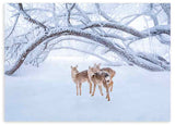 Quadro horizontal com três veados sobre neve branca, sob grandes ramos cobertos de geada, em tons de branco, cinzento suave e castanho claro, de estilo fotográfico invernal. Disponível em kudeko.com