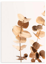 Tableau encadré avec branches d’eucalyptus, feuilles arrondies beige, crème et brun doux, fond clair et style botanique floral raffiné. Disponible sur kudeko.com