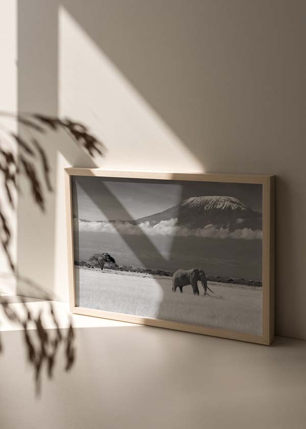 Tableau horizontal avec éléphant solitaire dans la savane, montagne enneigée au fond, nuages bas, tons gris, blanc et noir, style photographique épuré. Disponible sur kudeko.com