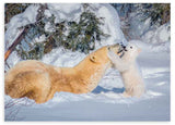 Horizontales Wandbild mit einer Eisbärin und ihrem Jungen im weißen Schnee, zwischen winterlichen Bäumen, in Creme, sanftem Blau und natürlichem fotografischem Stil. Erhältlich auf kudeko.com