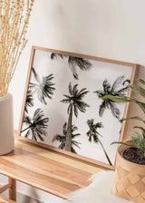 Horizontales Wandbild mit hohen tropischen Palmen aus der Untersicht, hellem Himmel, Off-White, Schwarz und sanftem Braun im fotografischen Stil mit natürlicher, ruhiger Wirkung. Erhältlich auf kudeko.com
