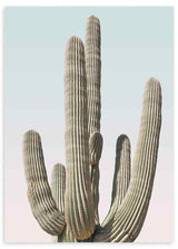 Cuadro fotográfico de cactusy cielo claro. Una obra muy veraniega y fresca, con tonos azules y verdes.