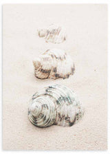 Cuadro de tres conchas marinas sobre arena clara en tonos beige, blanco roto, gris suave y matices verdosos, de estilo naturaleza y paisajes. Disponible en kudeko.com