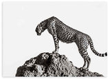 Horizontales Wandbild mit Gepard in Schwarz-Weiß auf einem Felsen, geflecktes Fell, heller Hintergrund, sachlicher fotografischer Tierstil mit klarer Komposition. Erhältlich auf kudeko.com