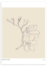 Gerahmtes Wandbild mit blühendem Zweig in feinen schwarzen Linien auf hellem Beigeton, ruhige botanische Komposition im minimalistischen und modernen Stil. Erhältlich auf kudeko.com