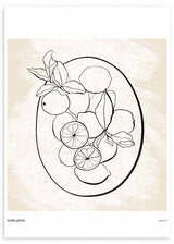 Cuadro de ilustración de frutas sobre fondo beige en dos tonos y textura