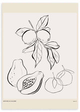Cuadro de frutas tropicales y cítricos con limones, papaya, pera y naranjas, en negro sobre fondo beige, estilo ilustración botánica. Disponible en kudeko.com