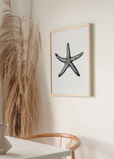 Cuadro de estrella de mar detallada en tonos negro y gris sobre fondo blanco, con estética marina de estilo vintage. Disponible en kudeko.com
