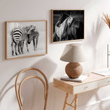 Cuadro horizontal de dos caballos abrazados en primer plano, uno blanco y otro oscuro, con fondo difuminado en tonos grises y estilo fotográfico en blanco y negro. Disponible en kudeko.com