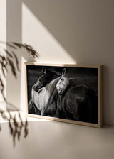 Cuadro horizontal de dos caballos abrazados en primer plano, uno blanco y otro oscuro, con fondo difuminado en tonos grises y estilo fotográfico en blanco y negro. Disponible en kudeko.com
