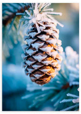 Wandbild mit verschneitem Tannenzapfen zwischen Kiefernzweigen, in Eisblau, frostigem Weiß, warmem Braun und natürlichem fotografischem Stil. Erhältlich auf kudeko.com