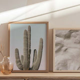decoración con cuadros, ideas - Cuadro fotográfico de cactusy cielo claro. Una obra muy veraniega y fresca, con tonos azules y verdes.