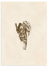 Lámina decorativa sin marco de estilo minimalista y orgánico, rana abrazando una hoja en estilo sepia, modelo Abrazo Anfibio