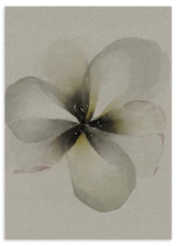 Lámina decorativa sin marco de estilo minimalista y orgánico, flor en acuarela serena, modelo Flor Serena