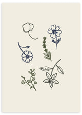 Lámina decorativa sin marco de estilo minimalista y orgánico, ilustración minimalista de flores simples, modelo Flores simples