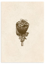 Lámina decorativa sin marco de estilo minimalista y orgánico, rana minimalista sobre capullo en sepia, modelo Sobre la Flor Dormida