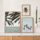 Ensemble de trois tableaux avec palmiers tropicaux, horizon marin, ciel bleu doux, tons vert grisé et noir, dans un style photographique à l’esprit côtier apaisé. Disponible sur kudeko.com