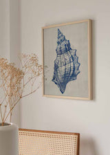 Cuadro nórdico con ilustración de una concha marina en tonos azul y beige – kudeko.com