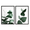 Conjunto de dos cuadros con ramas de eucalipto en tonos verdes sobre fondo blanco. Disponible en kudeko.com.\n