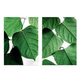 Conjunto de dos cuadros con hojas verdes sobre fondo blanco en estilo natural. kudeko.com.