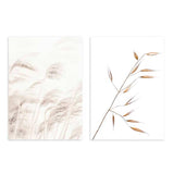Conjunto de dos cuadros con espigas de avena beige, crema y marrón claro, composición botánica ligera sobre fondo blanco, de estilo minimalista. Disponible en kudeko.com