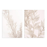 conjunto de dos cuadros nórdicos con fotografías de flores en tonos beige - kudeko