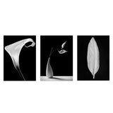 Conjunto de tres cuadros con cala blanca, rama en jarrón y pluma clara sobre fondo negro, composición elegante de alto contraste y estilo blanco y negro. Disponible en kudeko.com