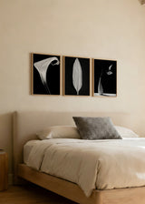 Conjunto de tres cuadros decorativos de estilo blanco_y_negro y minimalista, tríptico botánico en blanco y negro, modelo Three Combo - Black Flower