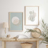 decoración con cuadros, ideas - conjunto de cuadros nórdicos de ilustraciones de algas marinas - kudeko