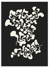lámina decorativa en blanco y negro de ilustración de flor abstracta - kudeko