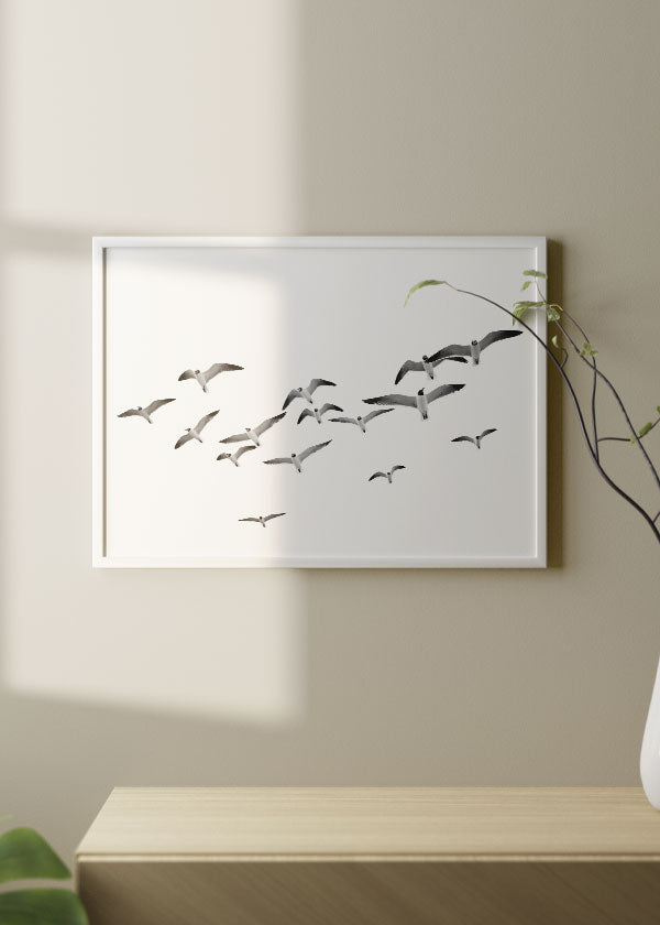 Cuadro horizontal con bandada de aves volando sobre fondo blanco, en tonos blanco, gris y negro, con composición ligera y estilo fotográfico. Disponible en kudeko.com