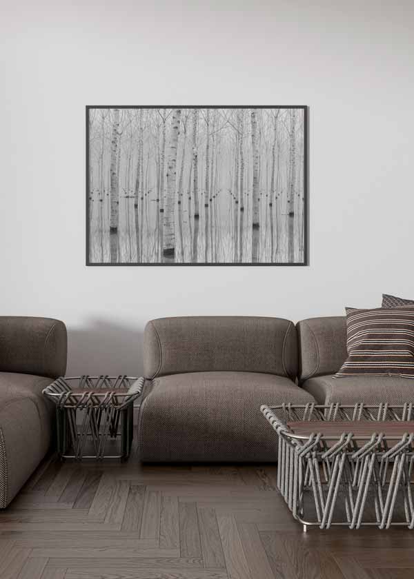 Cuadro horizontal de bosque de abedules blancos reflejados en agua tranquila, con tonos blanco, gris y negro suave, de estilo naturaleza y paisajes. Disponible en kudeko.com