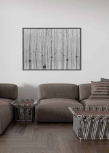 decoración con cuadros, ideas - lámina decoratifa de fotografía en blanco y negro de bosque y agua, naturaleza - kudeko