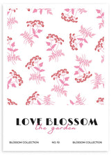 lámina decorativa de flores rosas y fondo blanco. Amor.