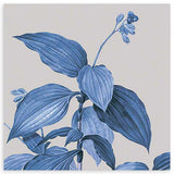 cuadro de ilustración de flores vintage. Lámina decorativa floral en tonos verdosos-azules.