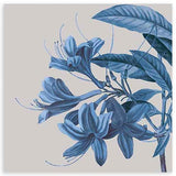 Quadratisches Wandbild mit offenen botanischen Blüten, länglichen Blättern und feinen Zweigen in Himmelblau und tiefem Blau, im eleganten floralen Stil. Erhältlich auf kudeko.com