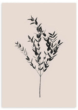 lámina decorativa de ilustración de flor de estilo nórdico, beige