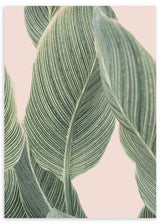 lámina decorativa de flores verdes sobre fondo beige crema, estilo decorativo nórdico, de flores - kudeko