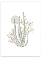 lamina decorativa de coral, ilustración, cuadro de playa, mar, nórdico