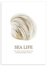 lamina decorativa con concha, cuadro de playa, nordico