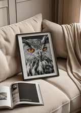 Quadro emoldurado com coruja em primeiro plano, plumagem branca, preta e cinzenta, olhos alaranjados intensos, estilo animal elegante e fundo escuro contrastante. Disponível em kudeko.com