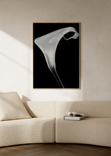 Gerahmtes Wandbild mit geschwungener weißer Calla auf schwarzem Hintergrund, klarem Kontrast, weichen Linien und fotografischem Stil. Erhältlich auf kudeko.com