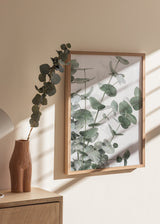 Tableau avec branches d’eucalyptus, feuilles arrondies vert gris sur fond blanc, composition botanique légère au style nature et épuré. Disponible sur kudeko.com