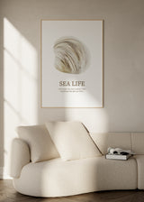 Cuadro decorativo de estilo minimalista y mar_y_playa colocado en baño, concha marina en acuarela minimalista, modelo Concha II Sea Art